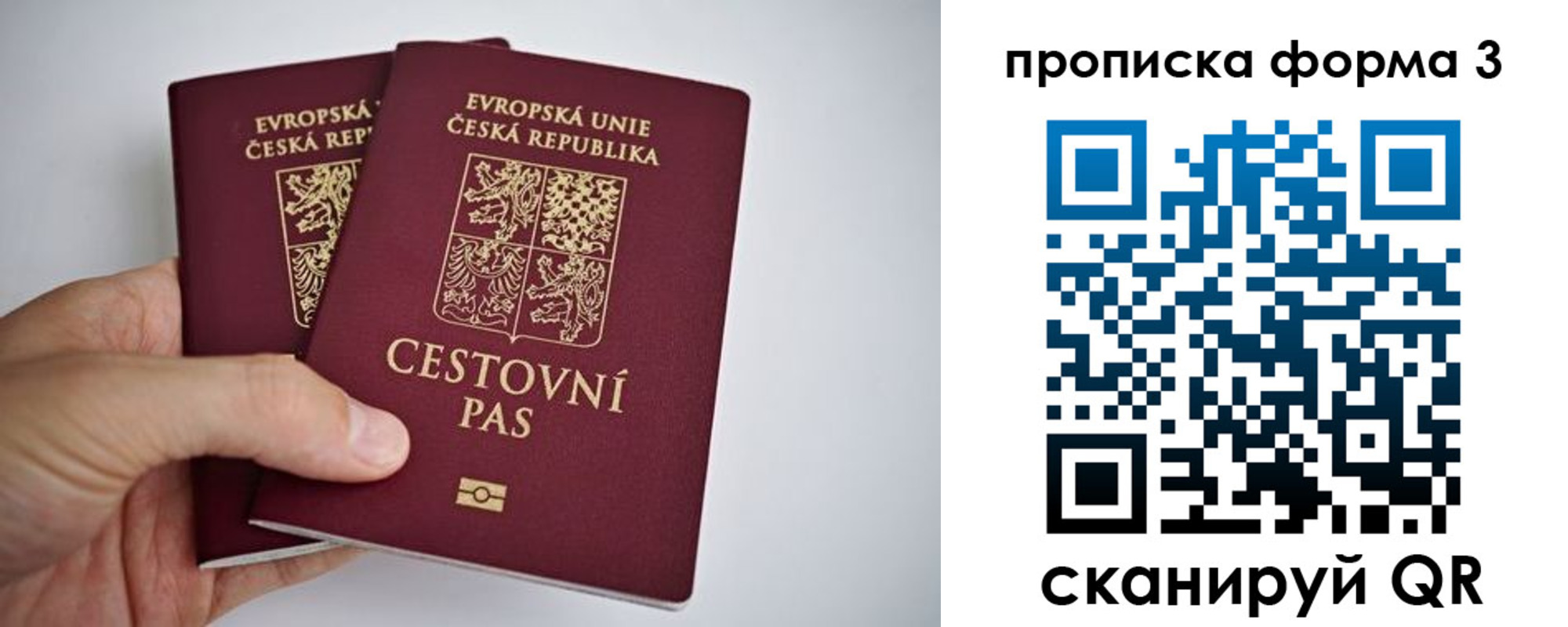 регистрация для школы в Чистополье